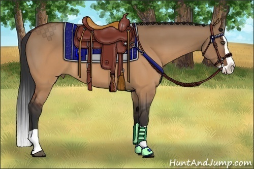 Horse Color:Brown Dun Splash 