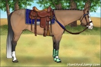 Horse Color:Brown Dun Splash 