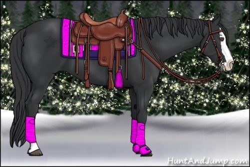 Horse Color:Black Splash 