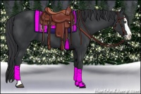 Horse Color:Black Splash
