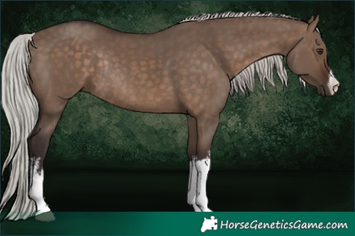 Horse Color:White Spotted Silver Brown Dun Rabicano 