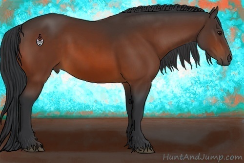Horse Color:Bay 