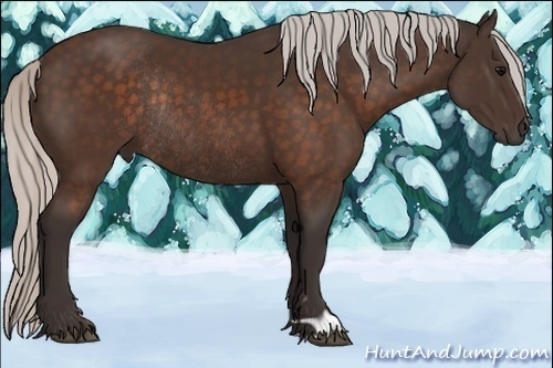 Horse Color:Silver Brown Rabicano 