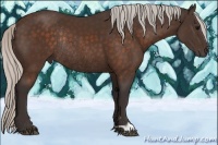 Horse Color:Silver Brown Rabicano 