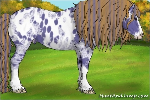 Horse Color:Painted Watercolor Smoky Black Ice Sabino Appaloosa 