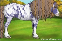 Horse Color:Painted Watercolor Smoky Black Ice Sabino Appaloosa 