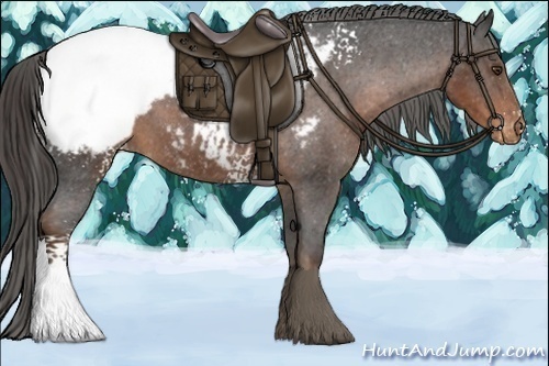 Horse Color:White Spotted Liver Chestnut Tobiano Appaloosa 