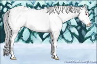 Horse Color:White Spotted Brown Chinchilla Pearl Frame Blanket Rabicano 