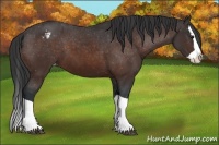 Horse Color:Brown Splash Varnish 