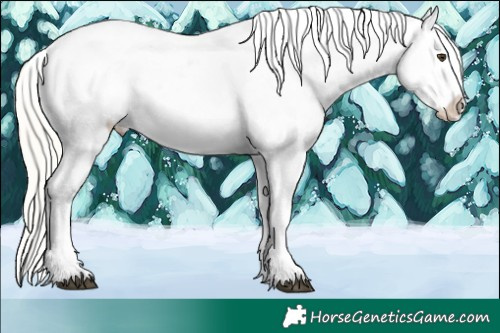 Horse Color:Liver Chestnut Mushroom Sabino Varnish Rabicano