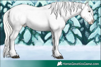 Horse Color:Liver Chestnut Mushroom Sabino Varnish Rabicano 