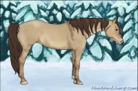 Horse Color:Classic Champagne Dun 