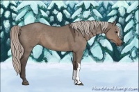 Horse Color:Silver Grullo