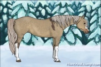 Horse Color:Silver Grullo 