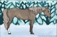 Horse Color:Silver Grullo 