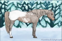 Horse Color:Liver Chestnut Near Fewspot 