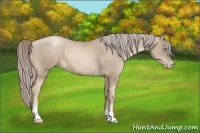 Horse Color:Chocolate Palomino Pearl