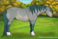 Horse Color:Watercolor Buckskin Rabicano 