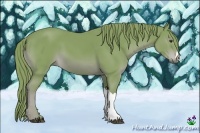 Horse Color:Watercolor Chestnut 