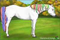 Horse Color:Gray Painted Chestnut 