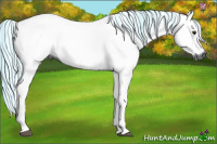 Horse Color:Gray Painted Chestnut 