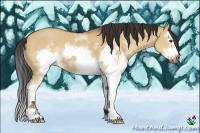 Horse Color:White Spotted Bay Dun Splash Frame 