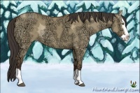Horse Color:Buckskin Ice Dun Splash