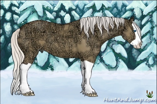 Horse Color:Silver Buckskin Ice Dun Splash 
