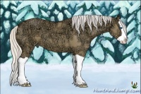 Horse Color:Silver Buckskin Ice Dun Splash