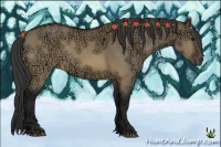 Horse Color:Buckskin Ice Dun 