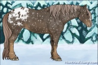 Horse Color:Chocolate Palomino Snowflake Varnish
