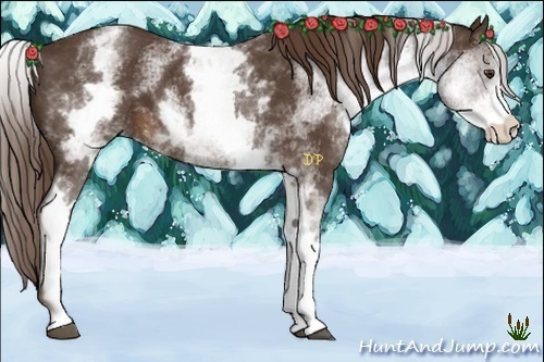 Horse Color:White Spotted Liver Chestnut 