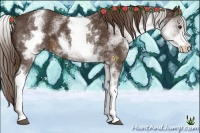 Horse Color:White Spotted Liver Chestnut 