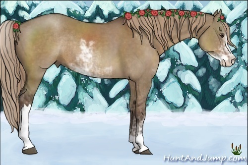 Horse Color:Liver Red Dun Sabino Rabicano 