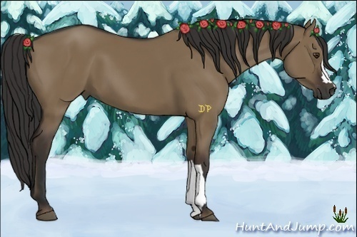 Horse Color:Liver Red Dun 