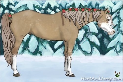 Horse Color:Chocolate Palomino Dun Sabino 