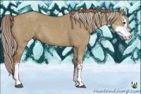 Horse Color:Chocolate Palomino Dun Sabino 