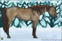 Horse Color:Liver Red Dun 