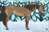 Horse Color:Liver Red Dun
