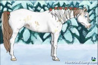 Horse Color:Liver Red Onyx Splash Tobiano Near Leopard 