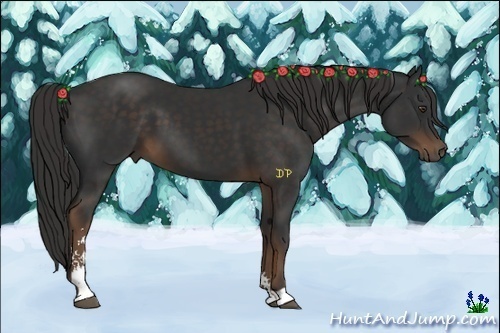 Horse Color:Liver Chestnut Sabino 