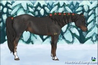 Horse Color:Liver Chestnut Sabino
