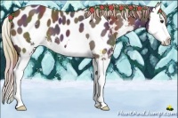 Horse Color:Nacre Liver Chestnut Sabino Splash Near Leopard 