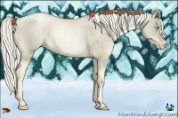Horse Color:Chocolate Palomino Pearl Rabicano 