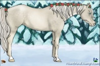 Horse Color:Chocolate Palomino Pearl