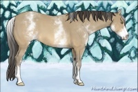 Horse Color:White Spotted Sable Cream Champagne