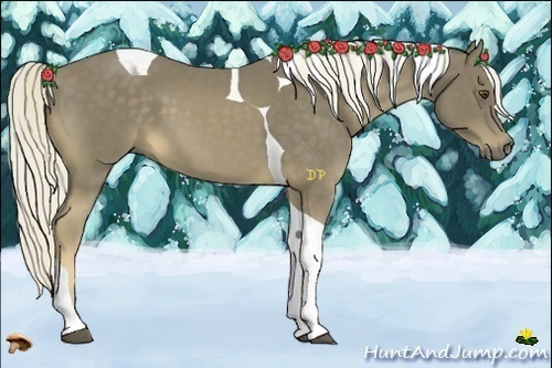 Horse Color:Chocolate Palomino Tobiano 