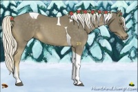 Horse Color:Chocolate Palomino Tobiano 