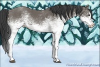 Horse Color:White Spotted Smoky Grullo Sabino Splash