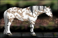 Horse Color:Bay Dun Splash Tobiano Rabicano
